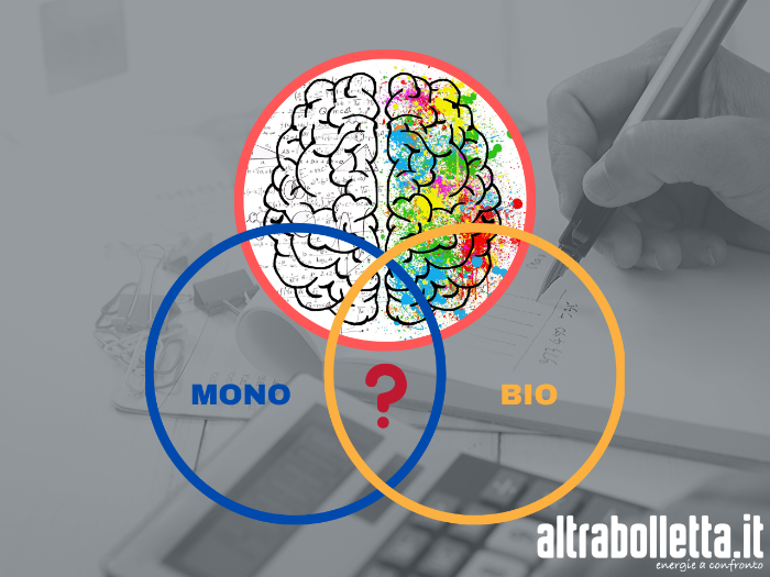 Blog tariffa mono bio